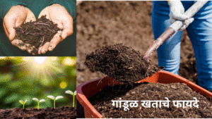 गांडूळ खत नफा