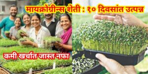 मायक्रोग्रीन्स शेती ही कमी खर्चात आणि अल्पावधीत मोठा नफा देणारी आधुनिक शेती आहे. फक्त १० दिवसांत तयार होणारे मायक्रोग्रीन्स आरोग्यदायी आणि फायदेशीर आहेत. या शेतीची प्रक्रिया, नफा, बाजारपेठ आणि आरोग्यदायी फायदे जाणून घ्या.