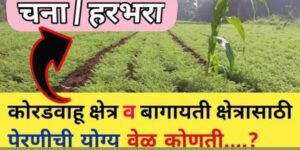 हरभरा लागवड मार्गदर्शक